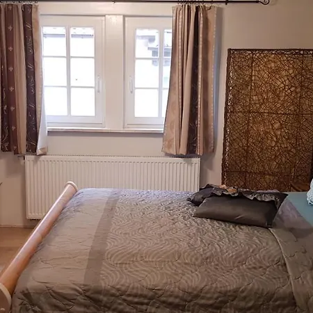Apartment Zauberhafte In Der Nähe Von Heidelberg, Lage Hirschhorn