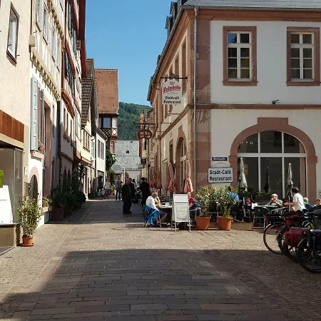 Zauberhafte In Der Naehe Von Heidelberg, Lage *
