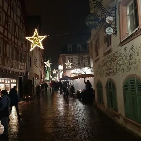 Zauberhafte In Der Naehe Von Heidelberg, Lage Appartement *