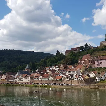 Zauberhafte In Der Nähe Von Heidelberg, Lage * Hirschhorn