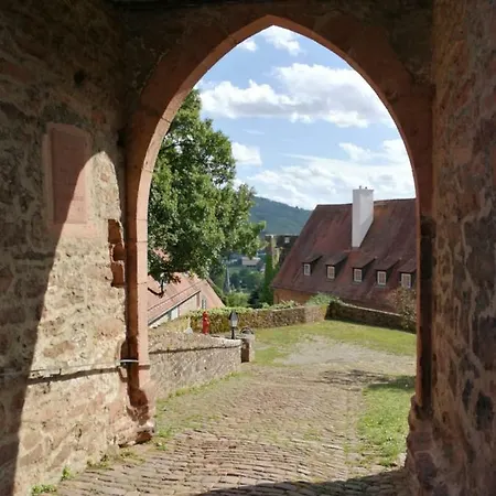 Apartment Zauberhafte In Der Nähe Von Heidelberg, Lage Hirschhorn