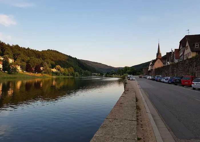 Zauberhafte In Der Naehe Von Heidelberg, Lage Hirschhorn
