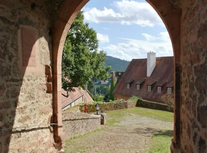 Apartman Zauberhafte In Der Naehe Von Heidelberg, Lage Hirschhorn